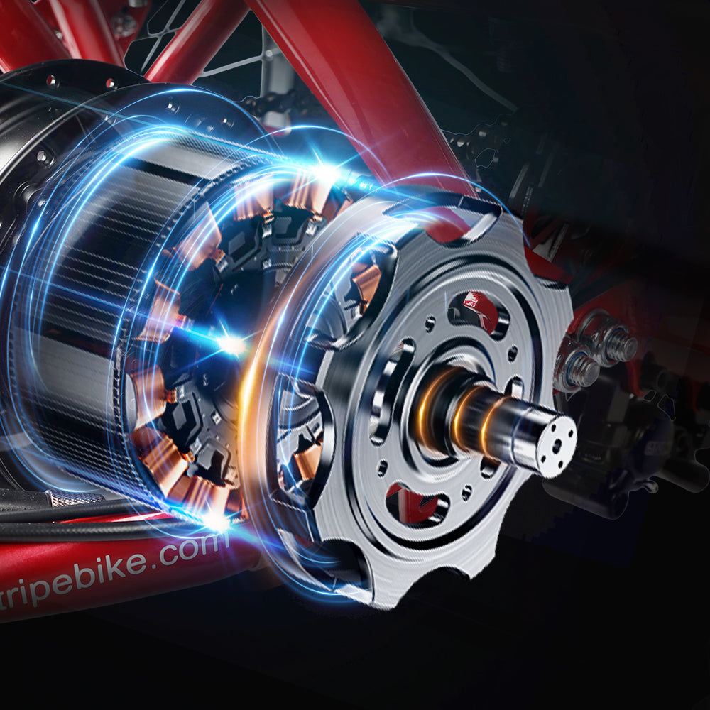 3 Wheel Electric Bike Motor | VICTRIP
