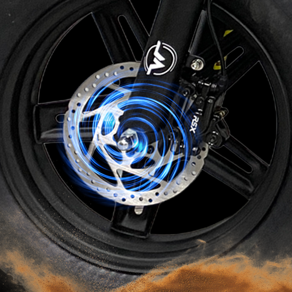 Electric Mopeds For Adults | VICTRIP