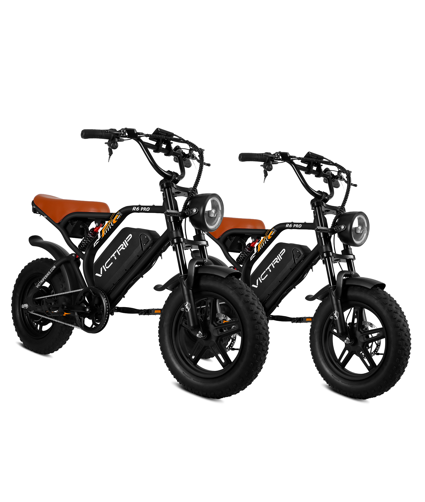 VICTRIP®Ebike Combo Sale R6Pro*2