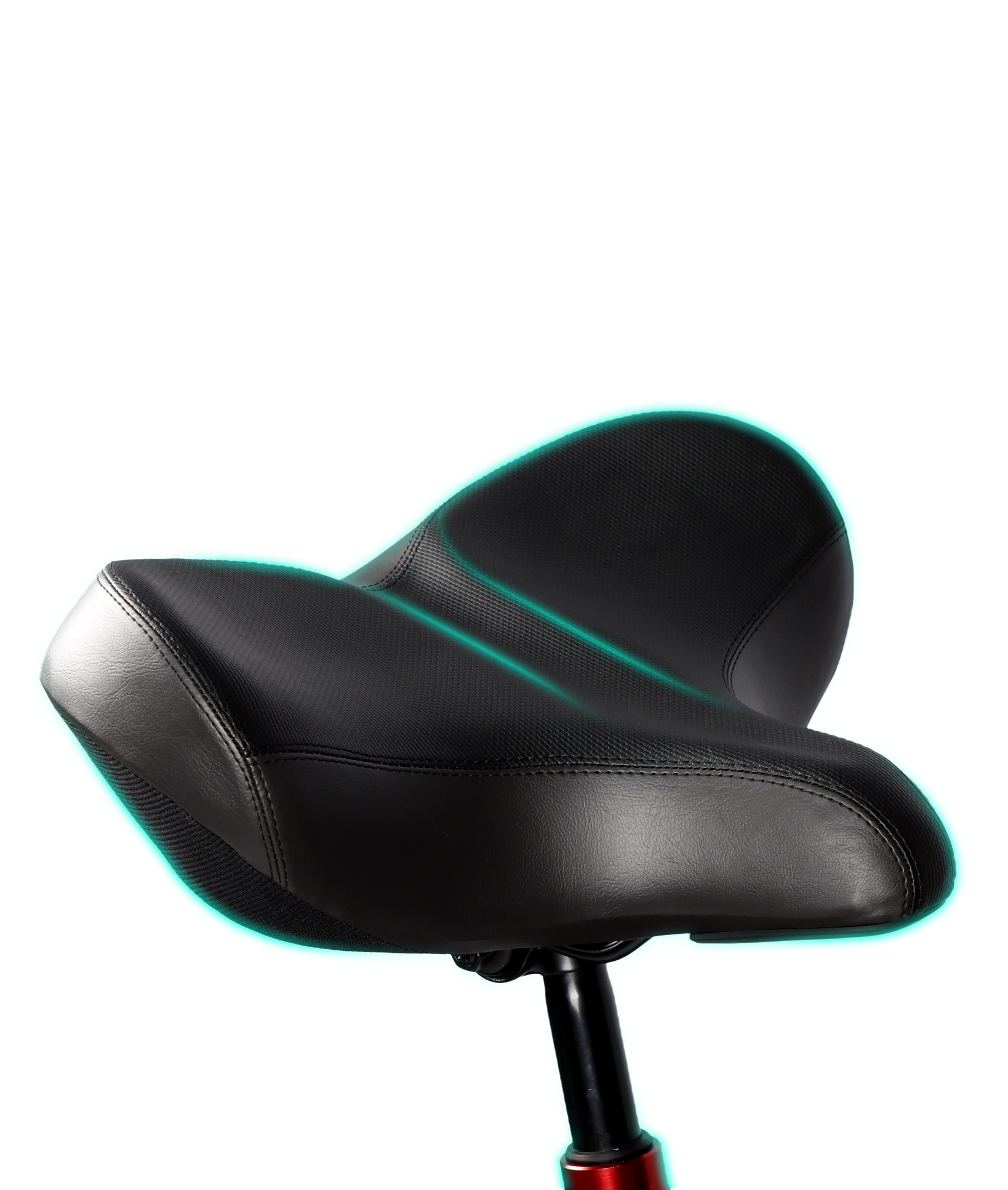 VICTRIP® R5pro Folding Electric Bike