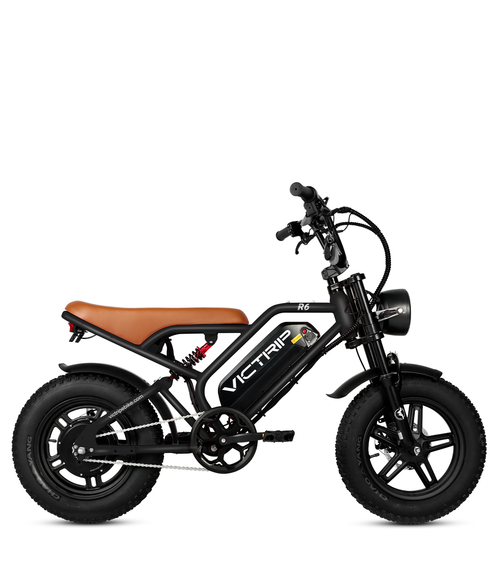 VICTRIP R6 Fat Tyre​ 1000W Electric Bike