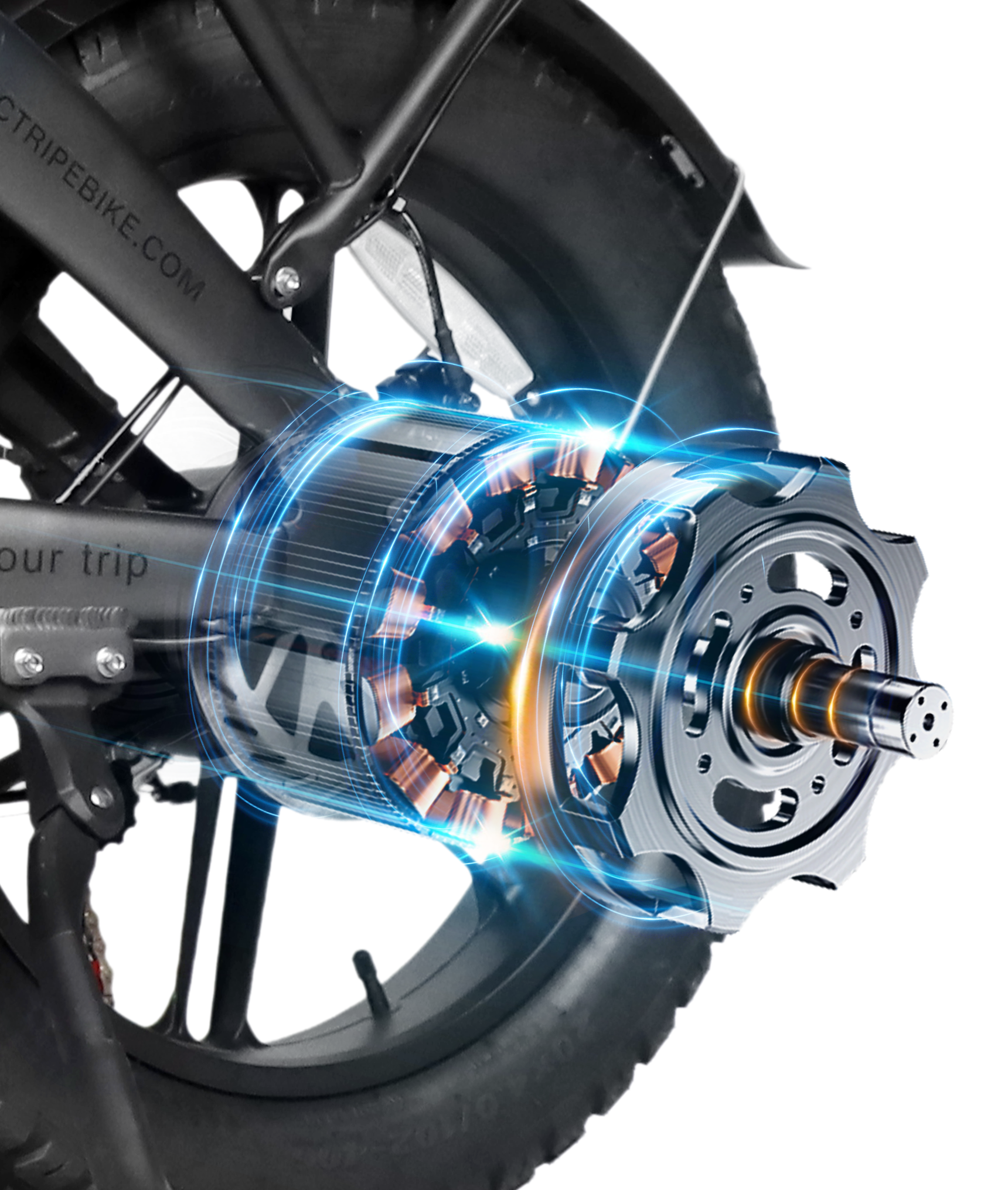 Biciclette Elettriche | VICTRIP