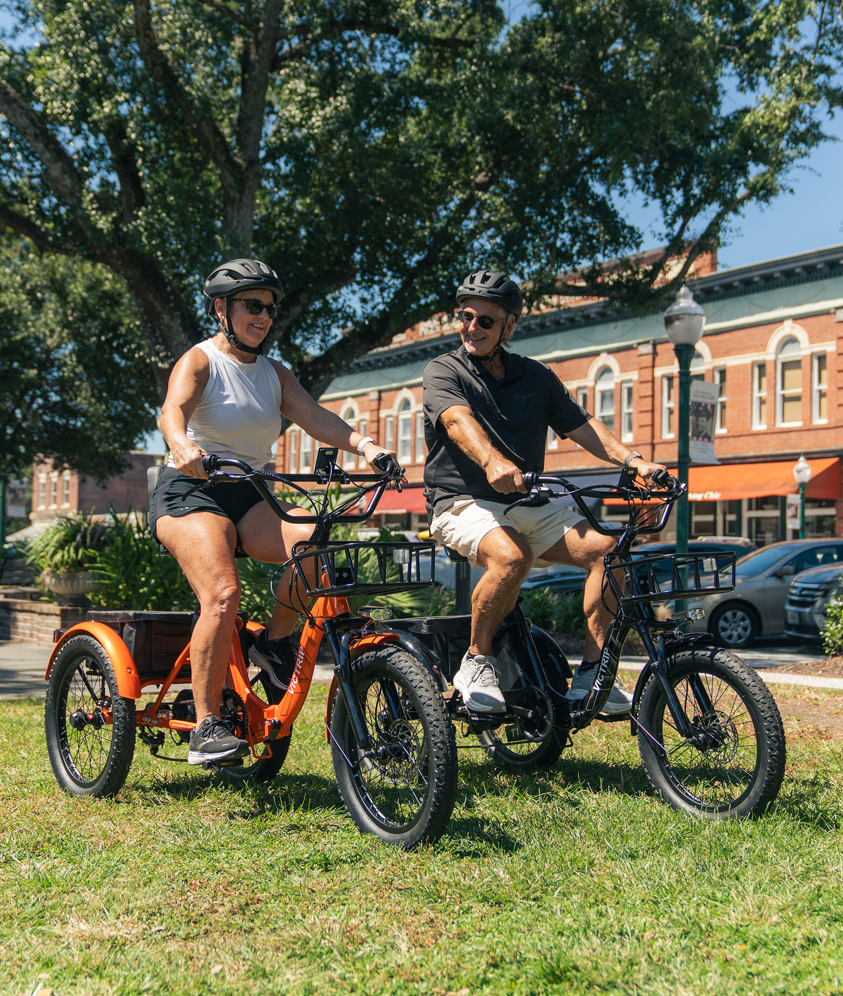VICTRIP® T1 Folding Electric Trike