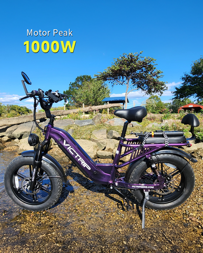 E Bikes For Seniors | VICTRIP