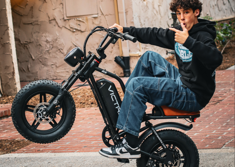 Mini Electric Bicycle With Fat Tires​​ | VICTRIP