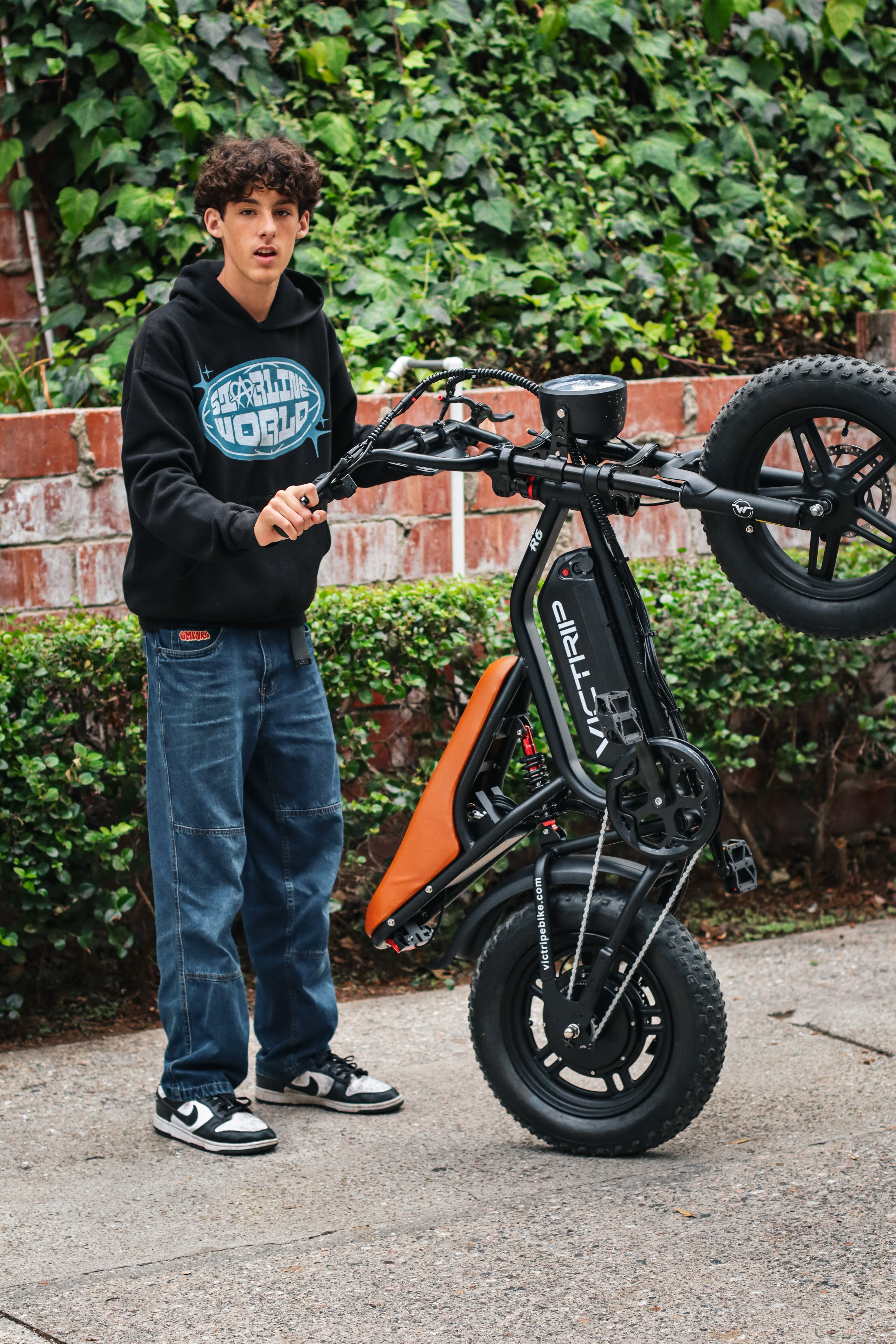 Best Moped Style Ebike | VICTRIP