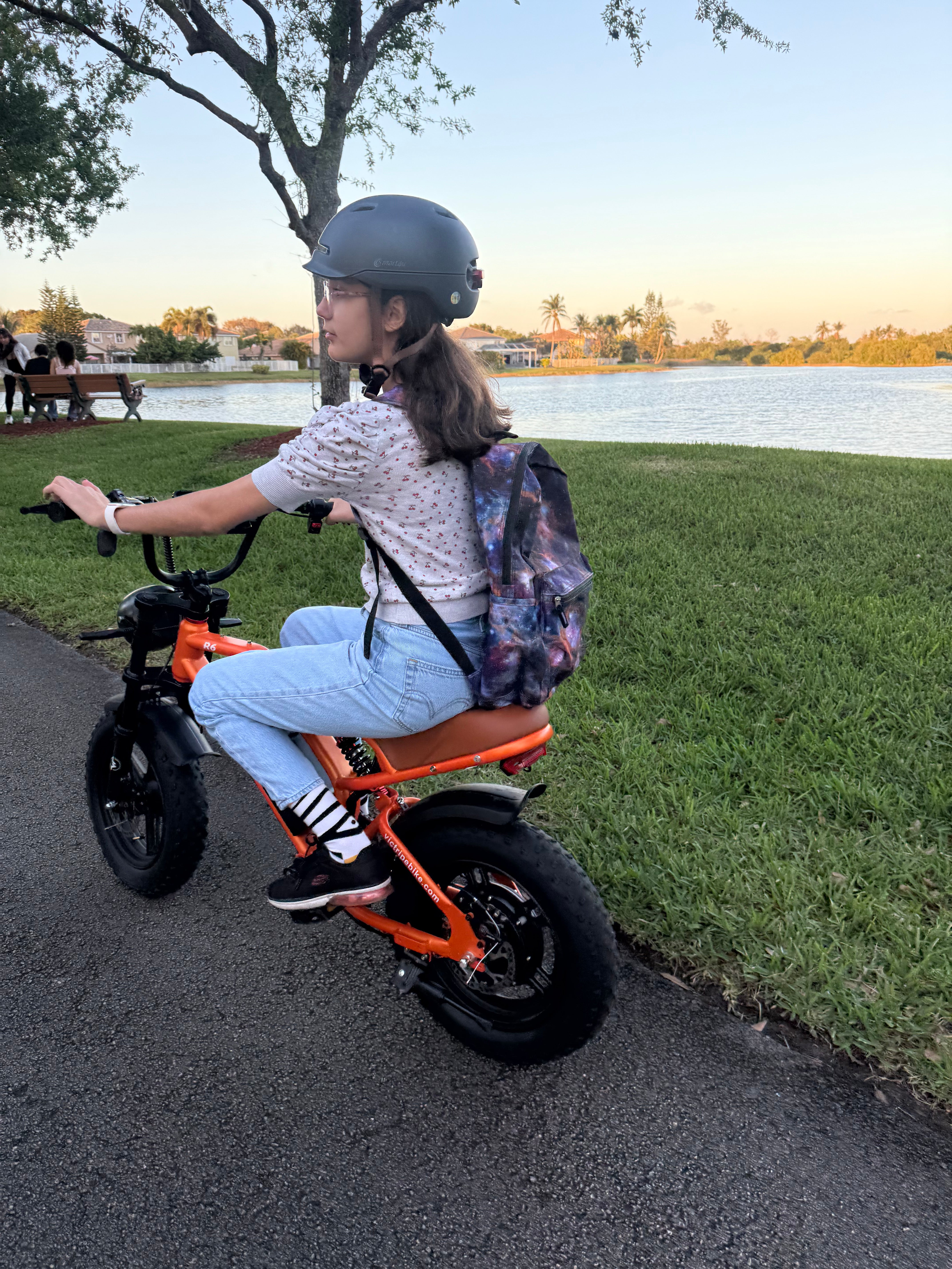 Safe and Stylish: 16 Inch Electric Mini Bike for Young Riders