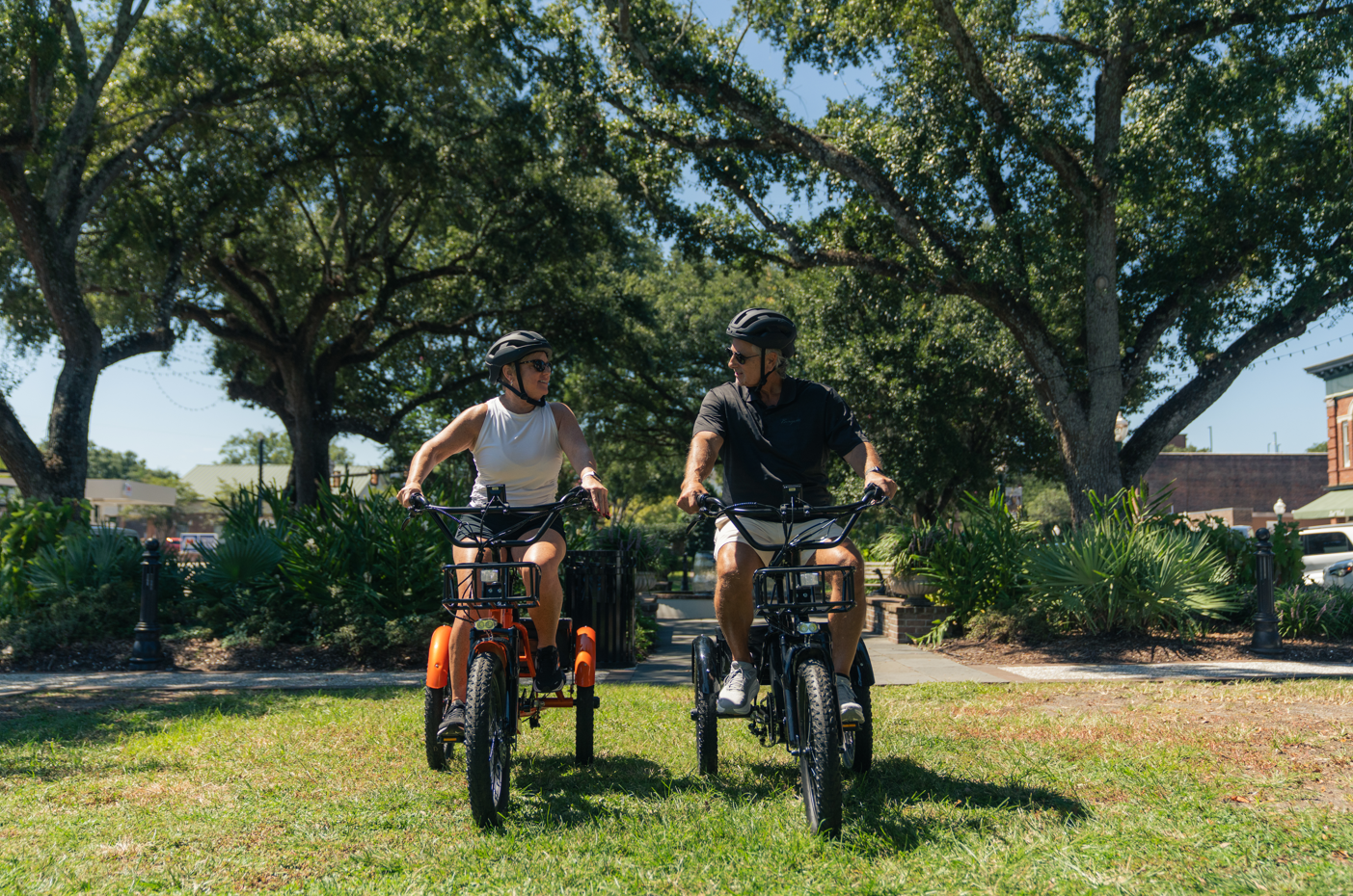 Electric Cargo Trike | VICTRIP