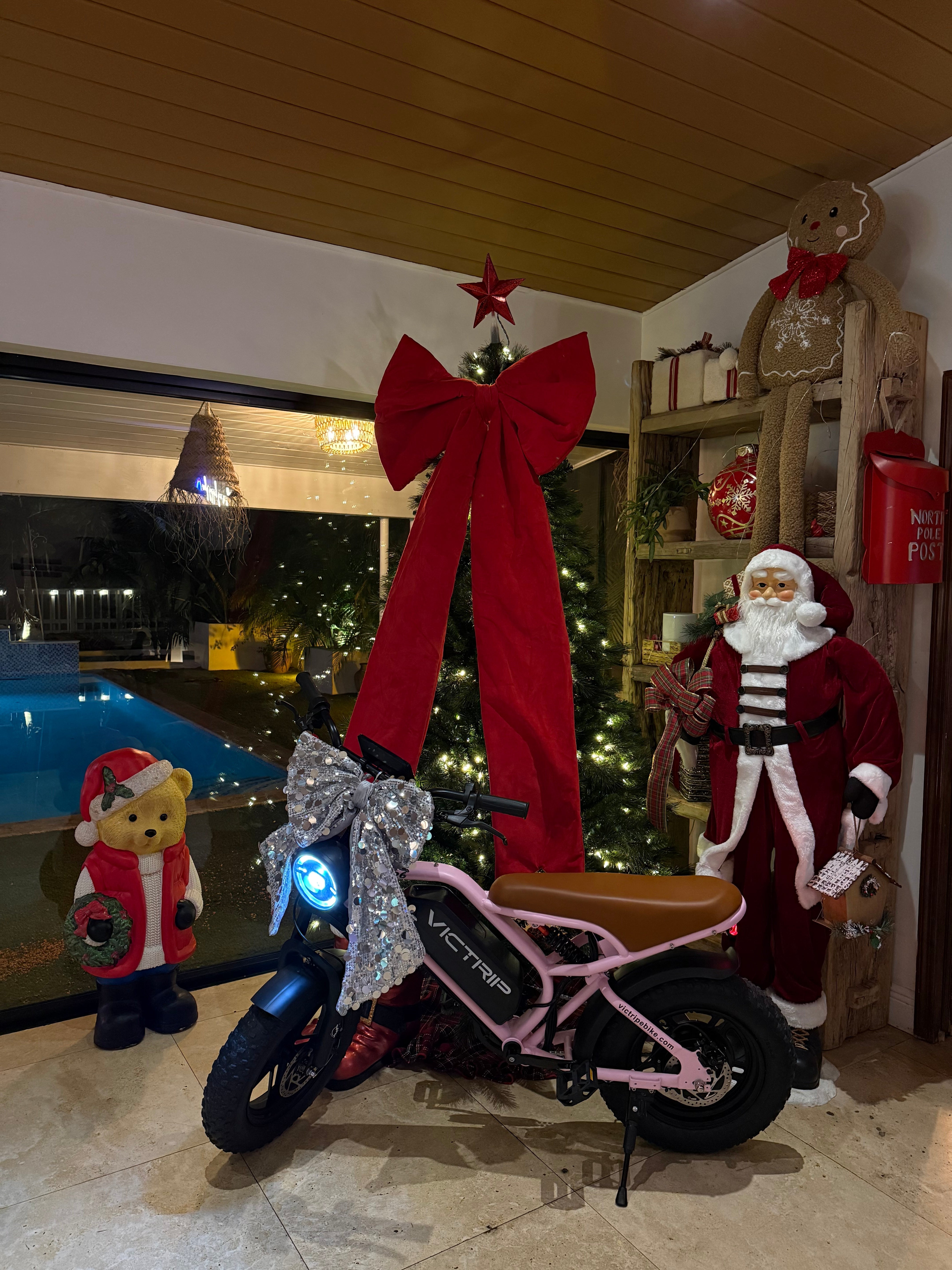 Moped Style E Bike​ | VICTRIP