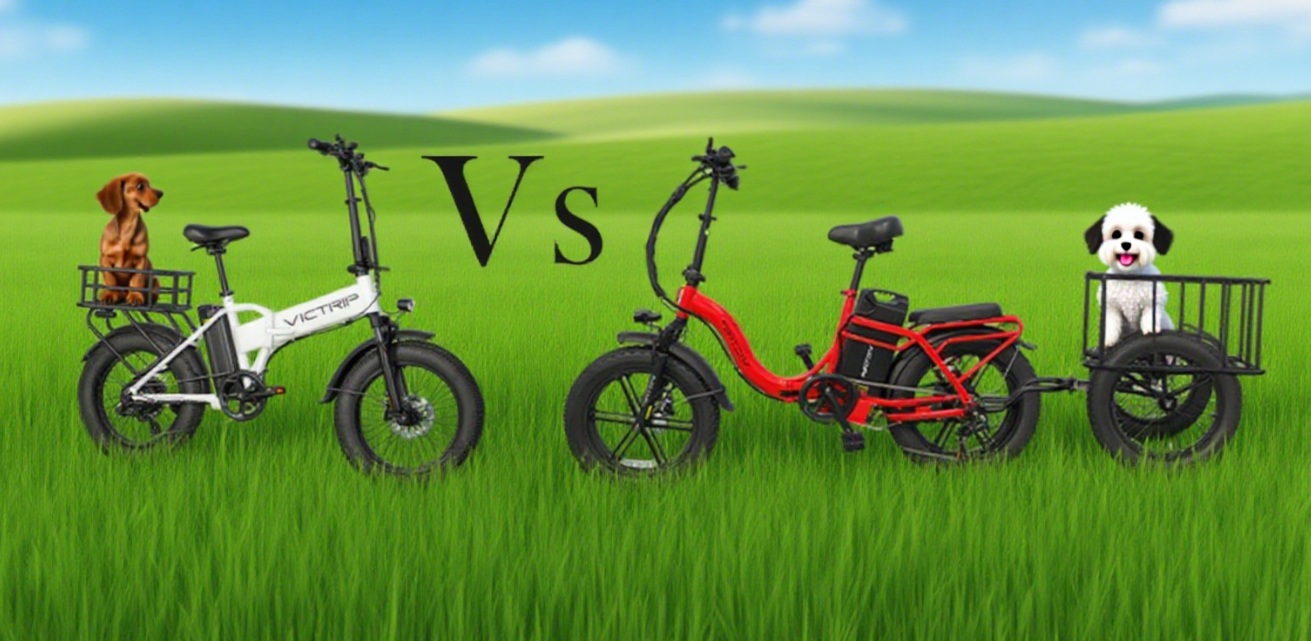 Trailer For Electric Bike | VICTRIP