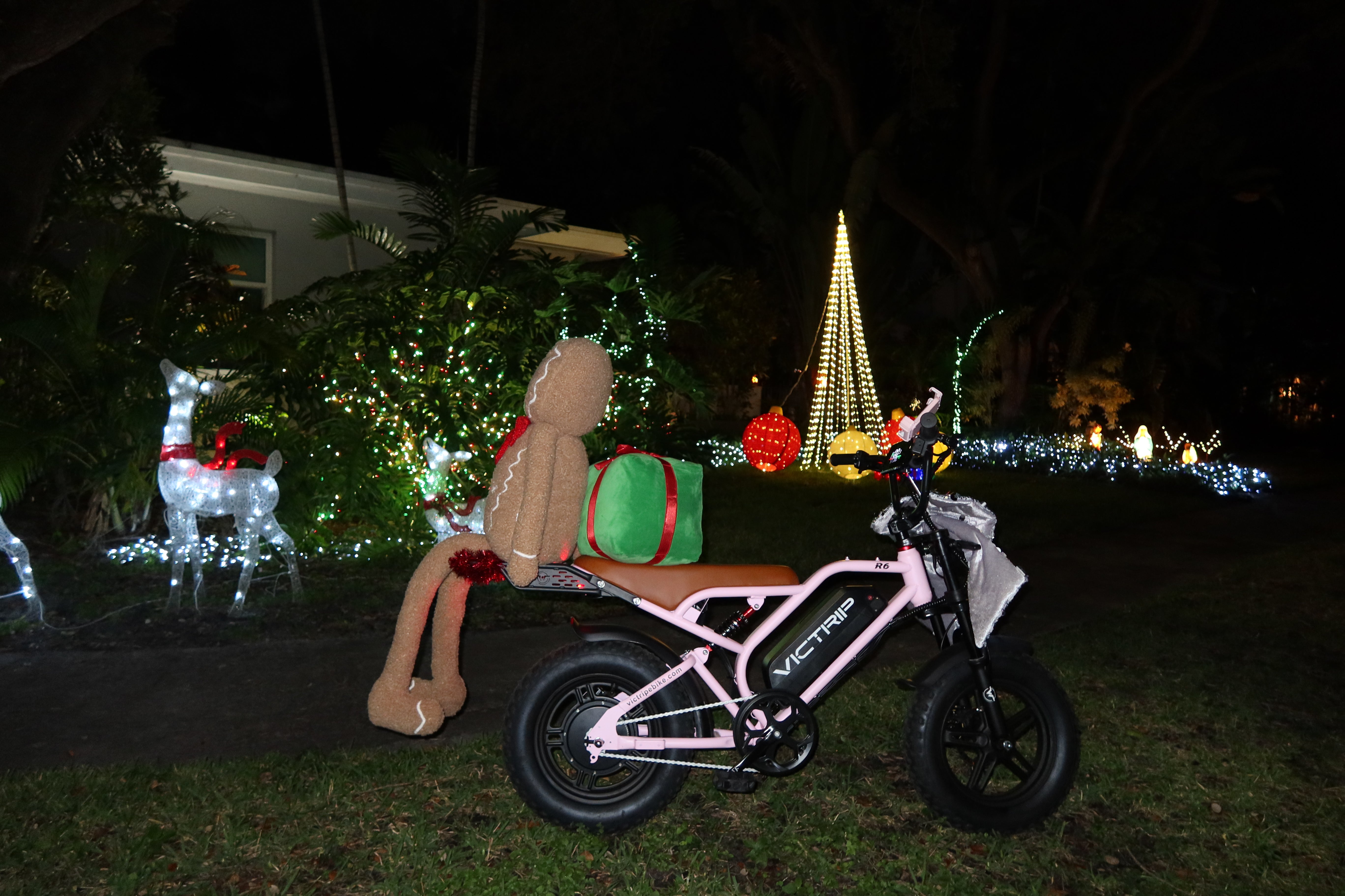 All Terrain Electric Bike Pink | VICTRIP