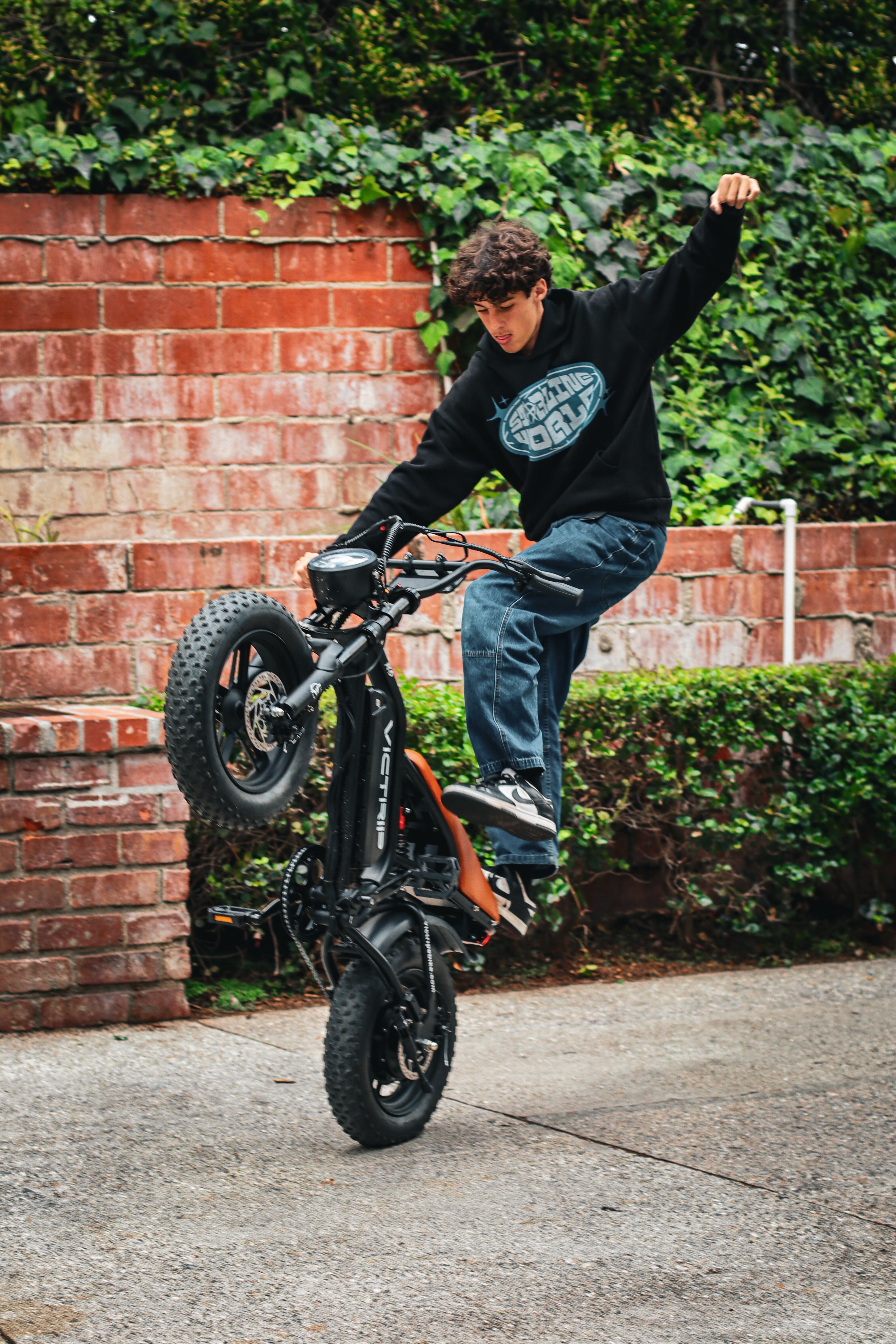 Fast Electric Cycle​ | VICTRIP