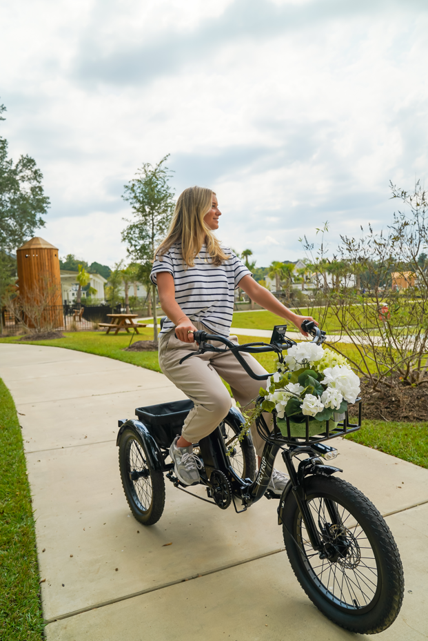Electric Tricycles For Adults​ | VICTRIP