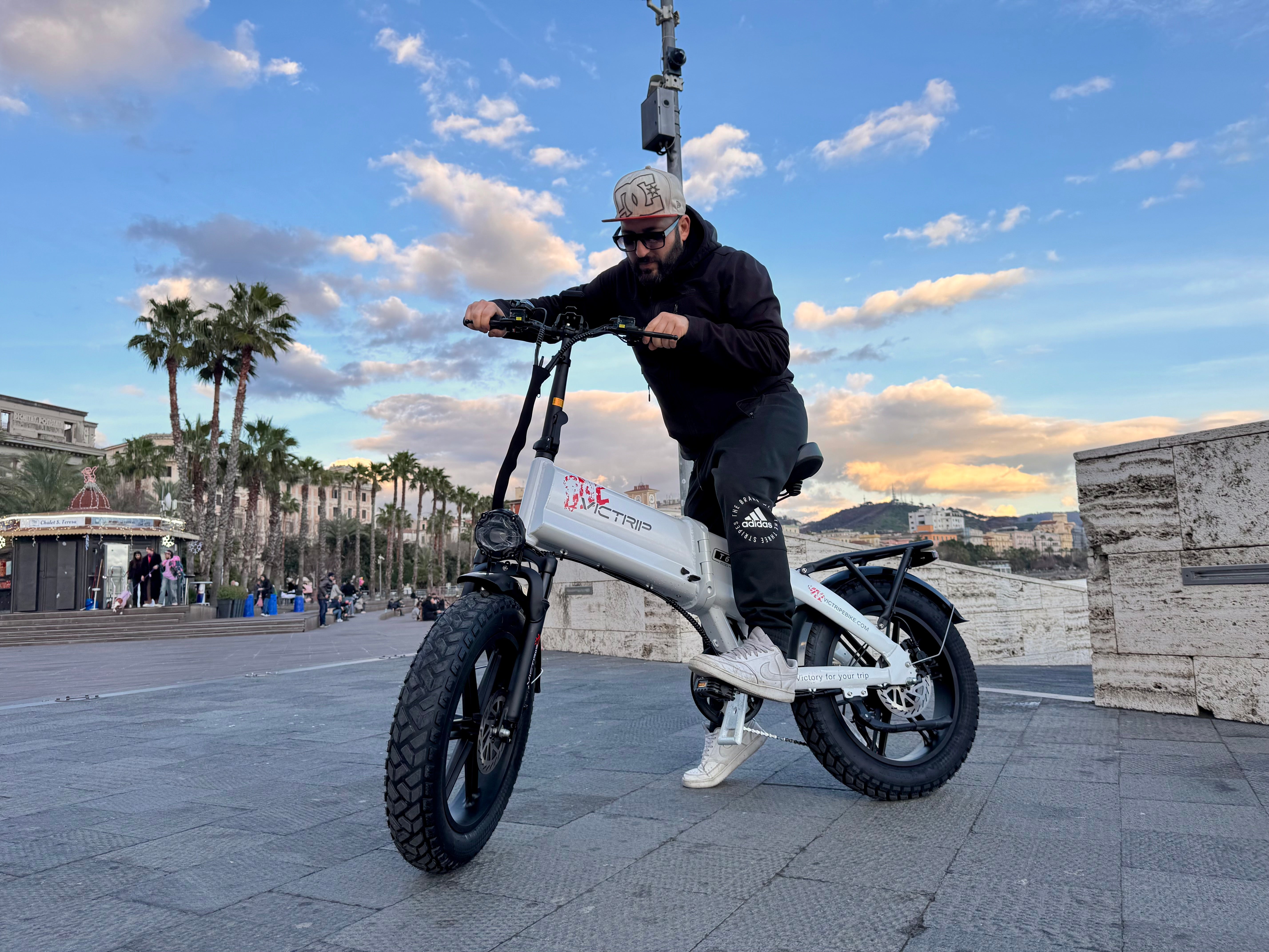 Electric Bicycle Mountain Bike​ | VICTRIP