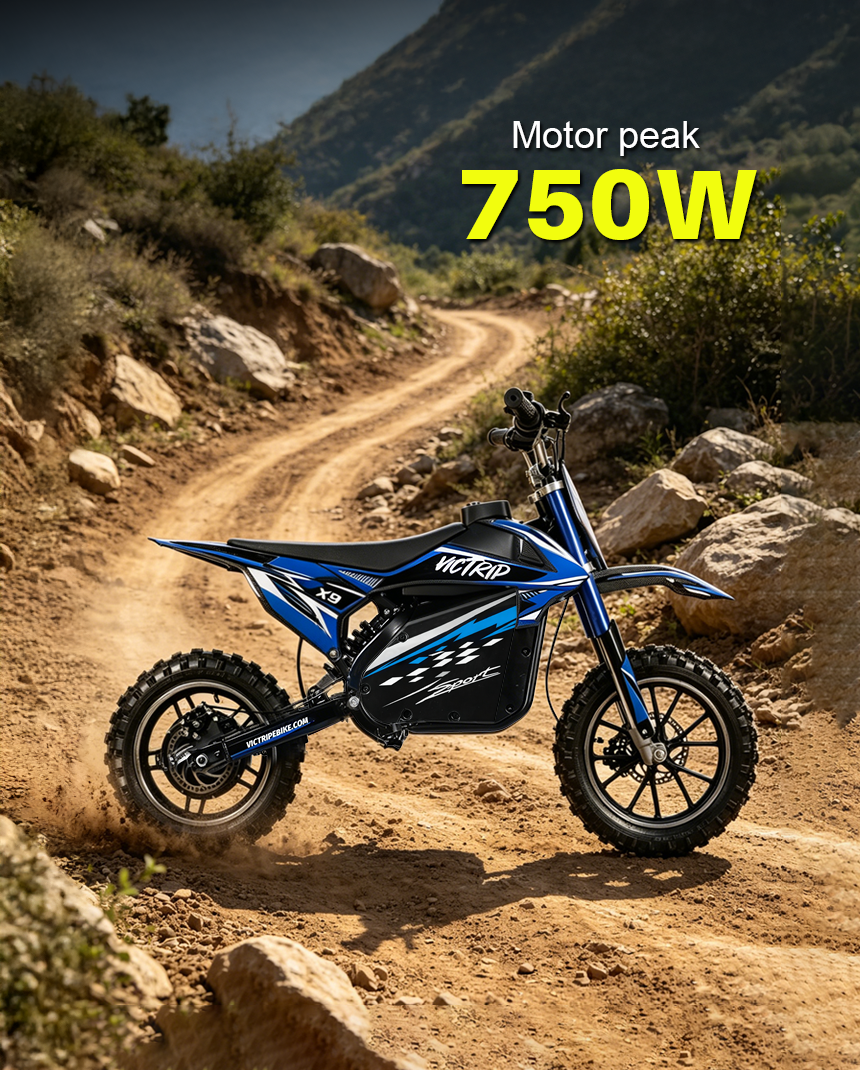 Electric Dirt Bike For 10-year Old​ | VICTRIP