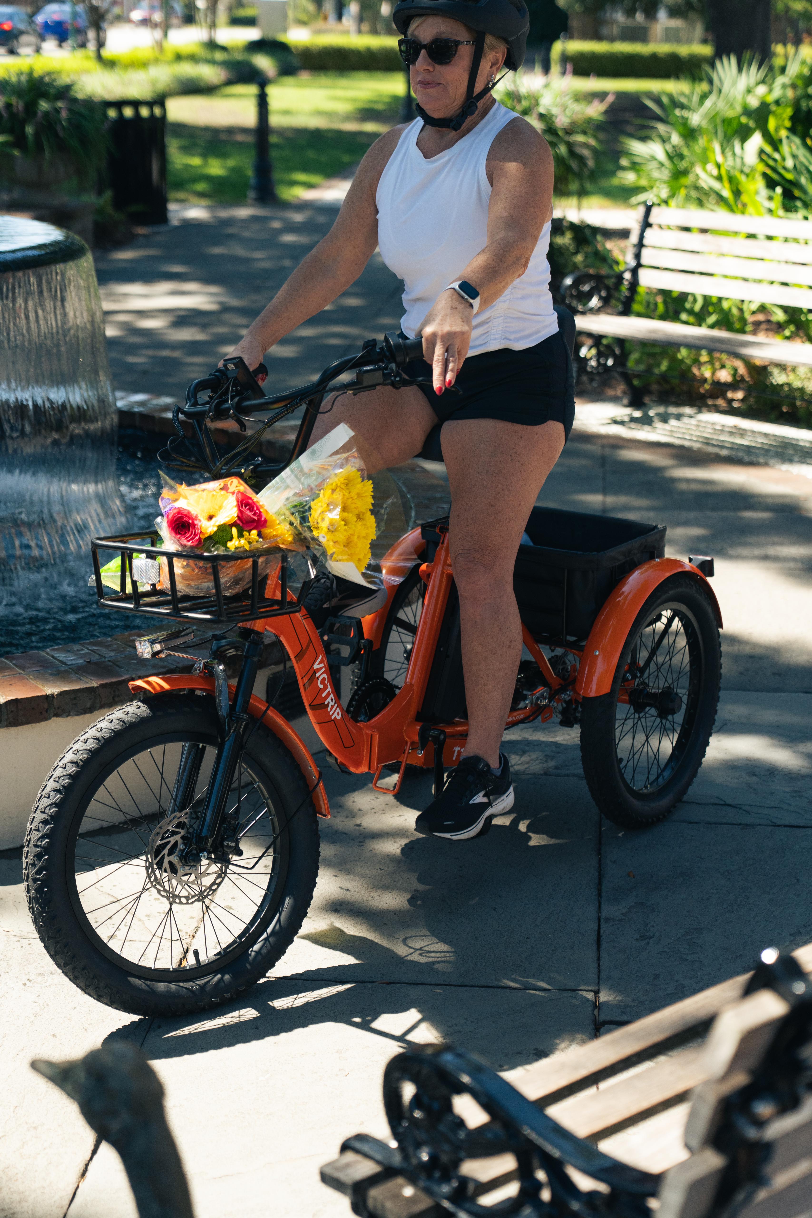 Fat Tire Electric Tricycle | VICTRIP