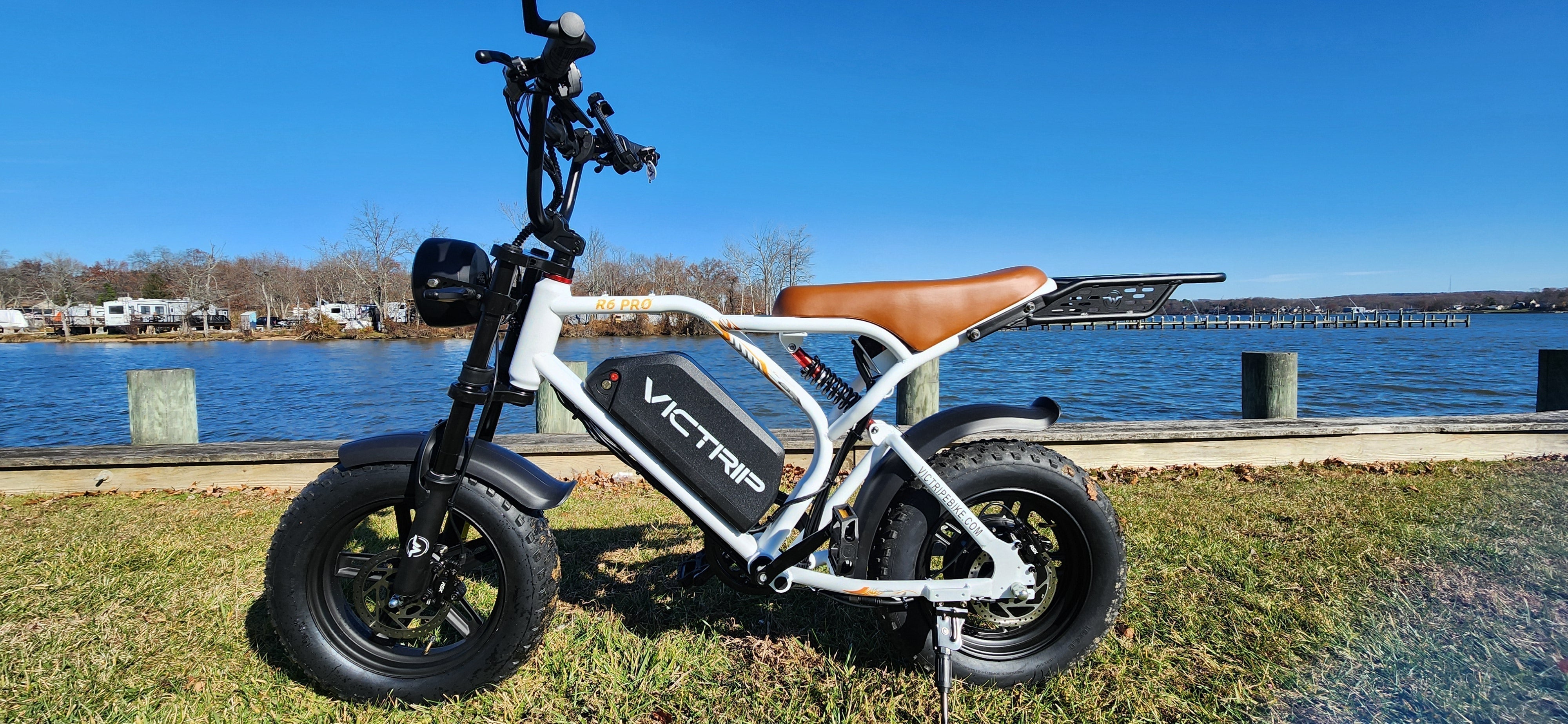 Electric Bicycle Fastest​​ | VICTRIP