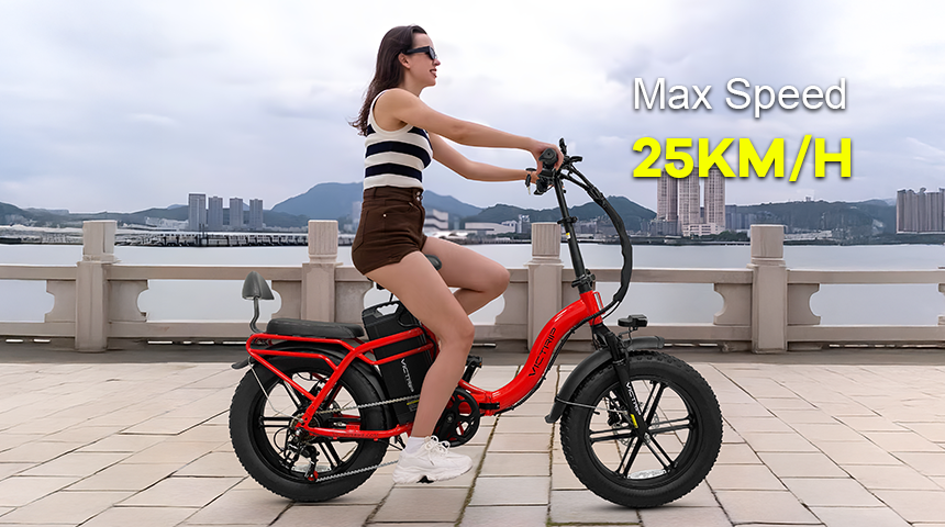 Electric Bikes For Two Adults​ | VICTRIP