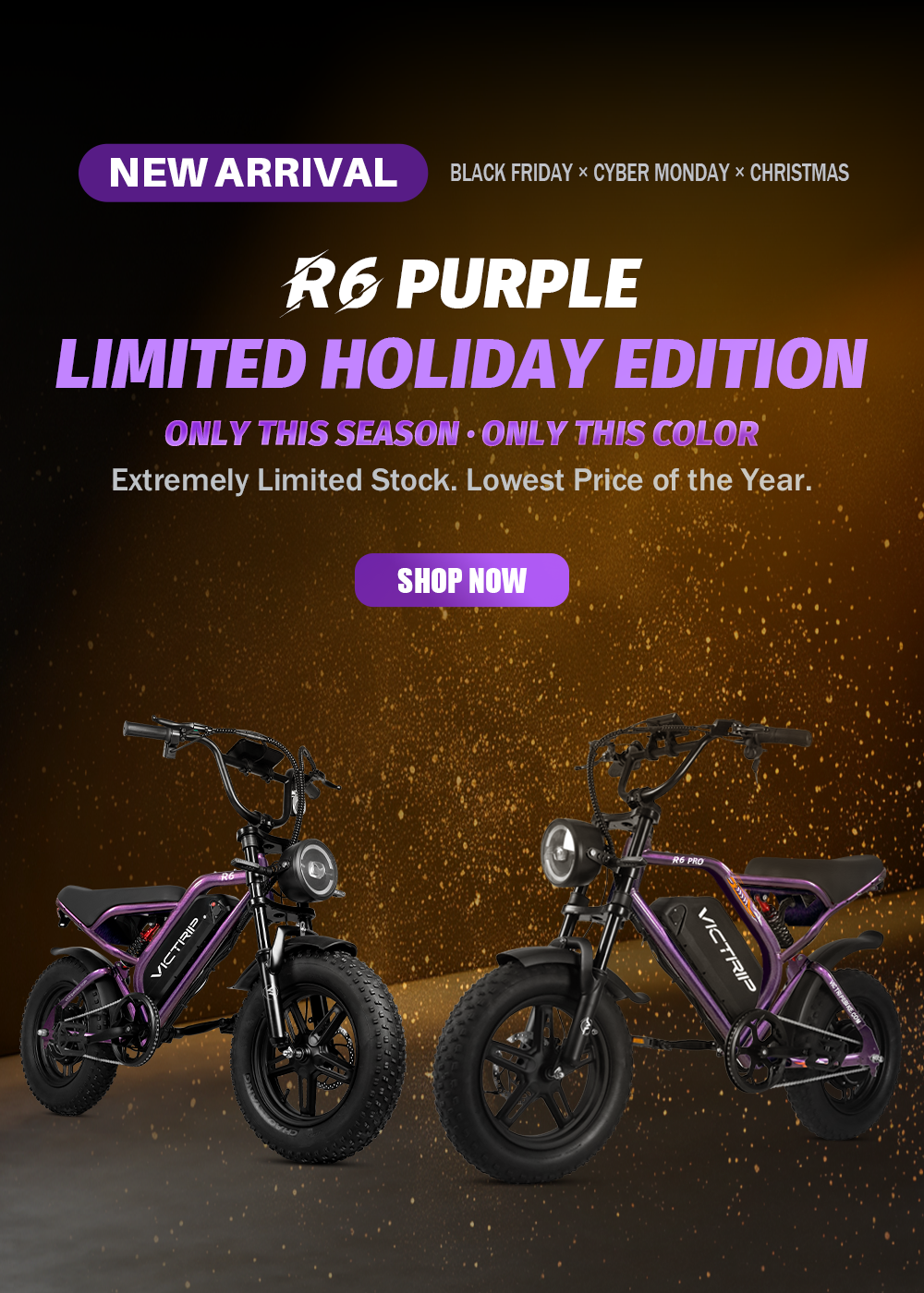 Best Budget Electric Bike​ | VICTRIP