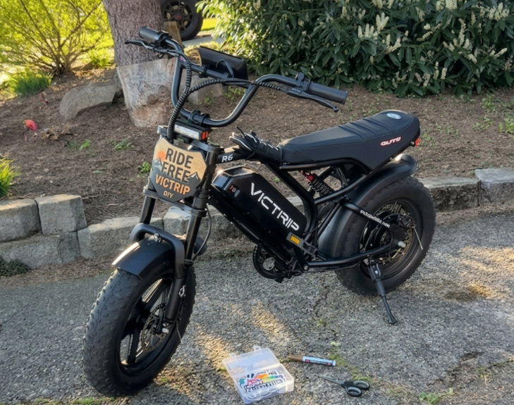 Moped Style Ebike Mini | VICTRIP