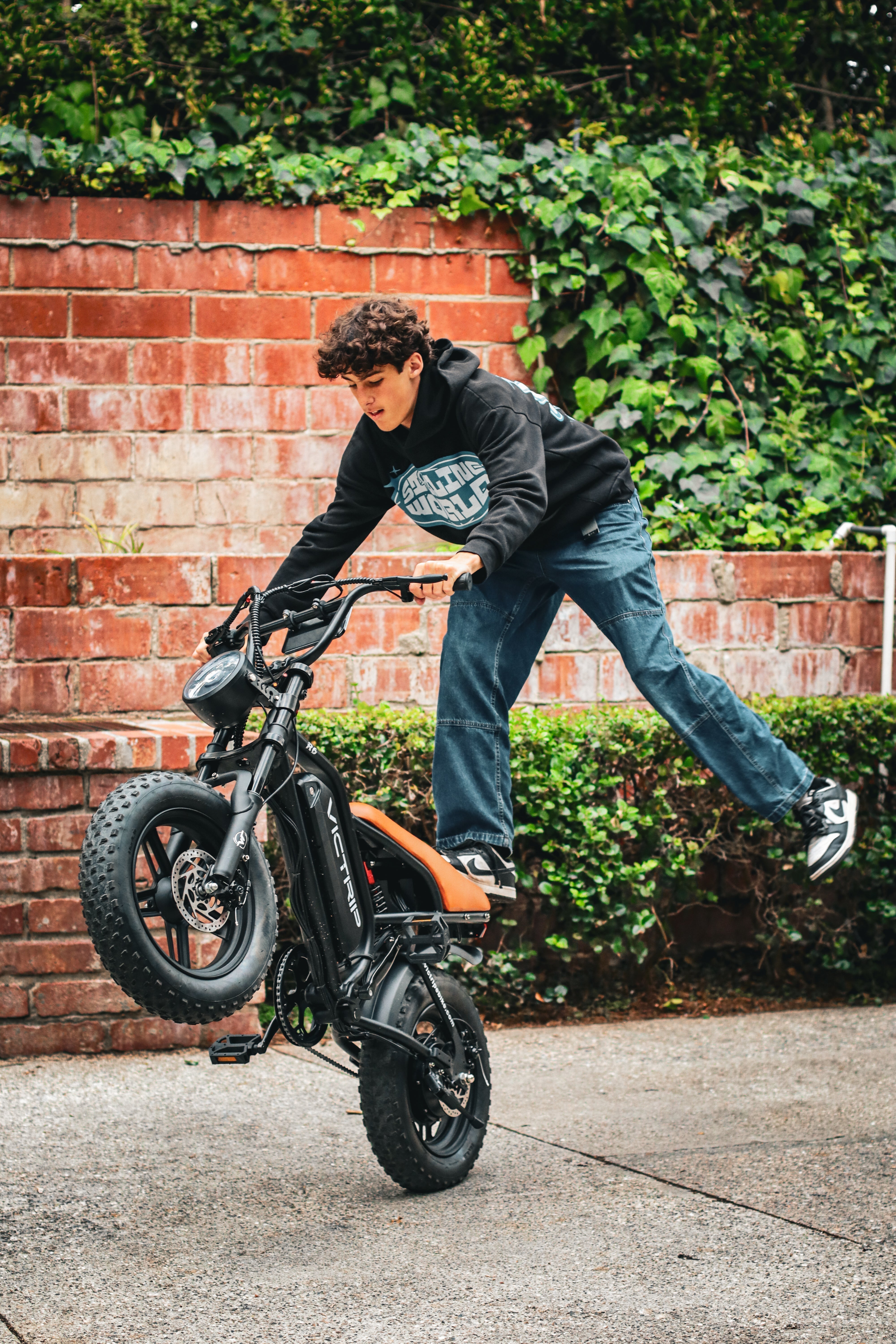 E Bike Moped Style | VICTRIP