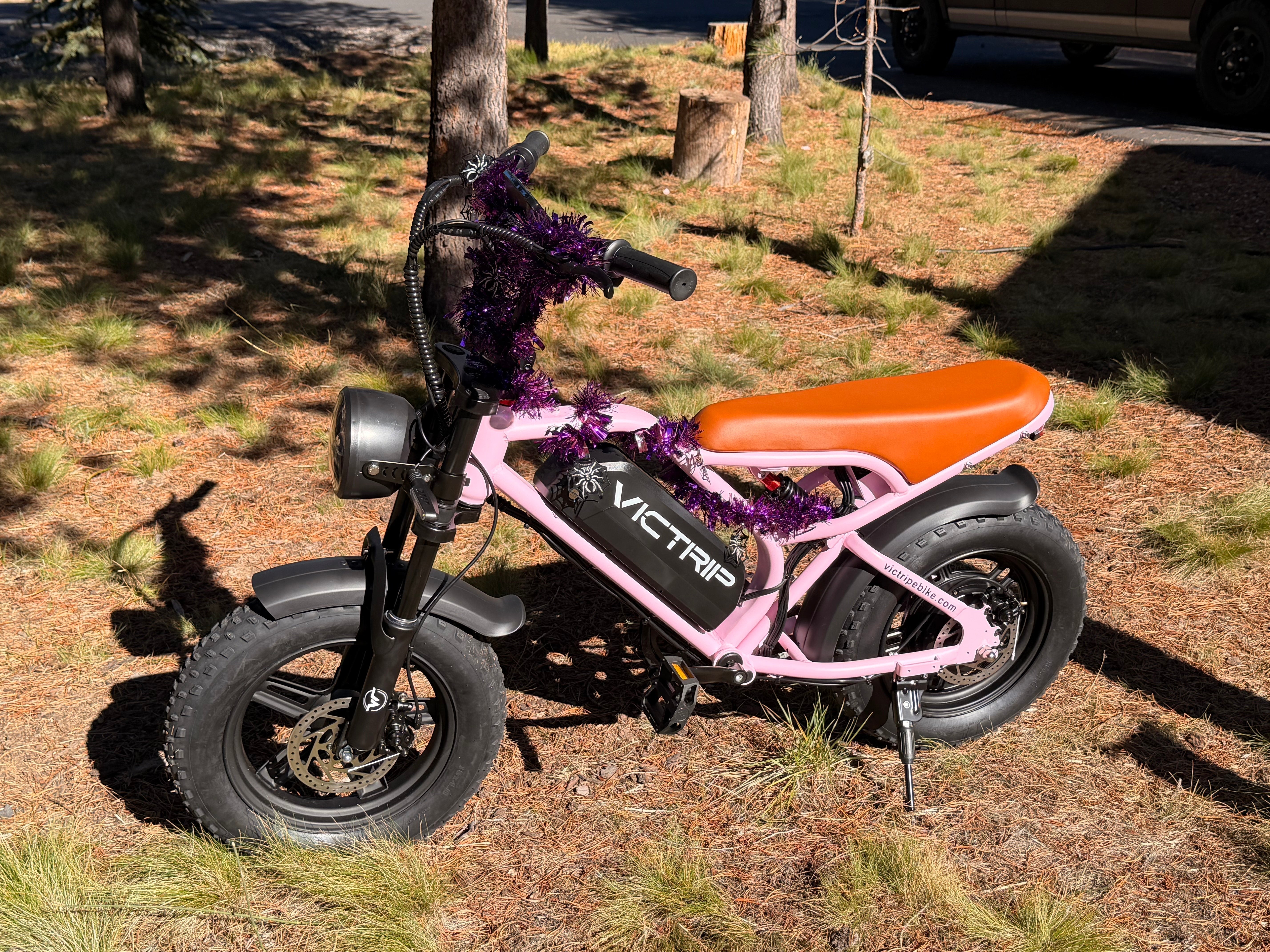 Electric Cycle Long Range​ | VICTRIP