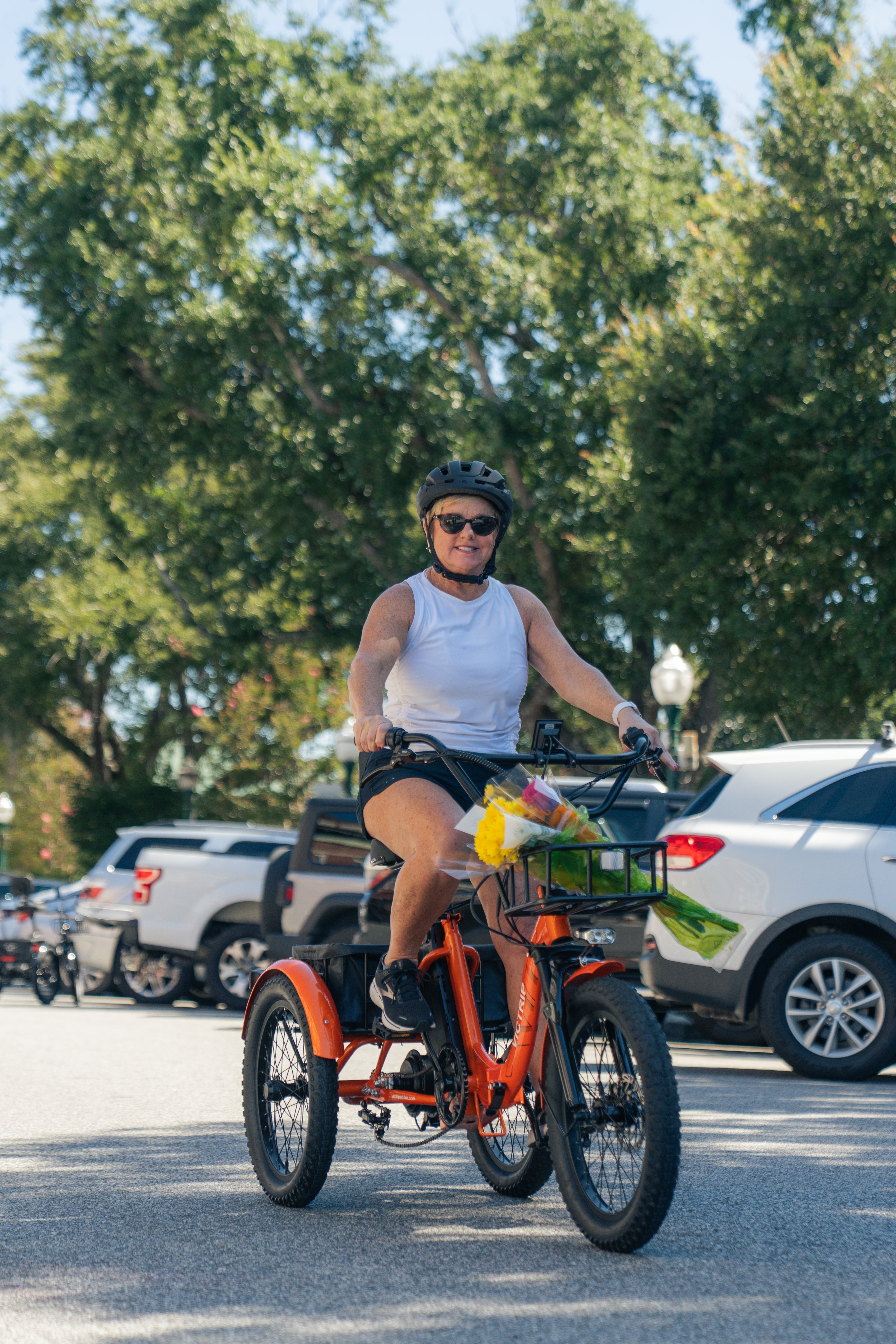 Electric Three Wheel Bike​ | VICTRIP