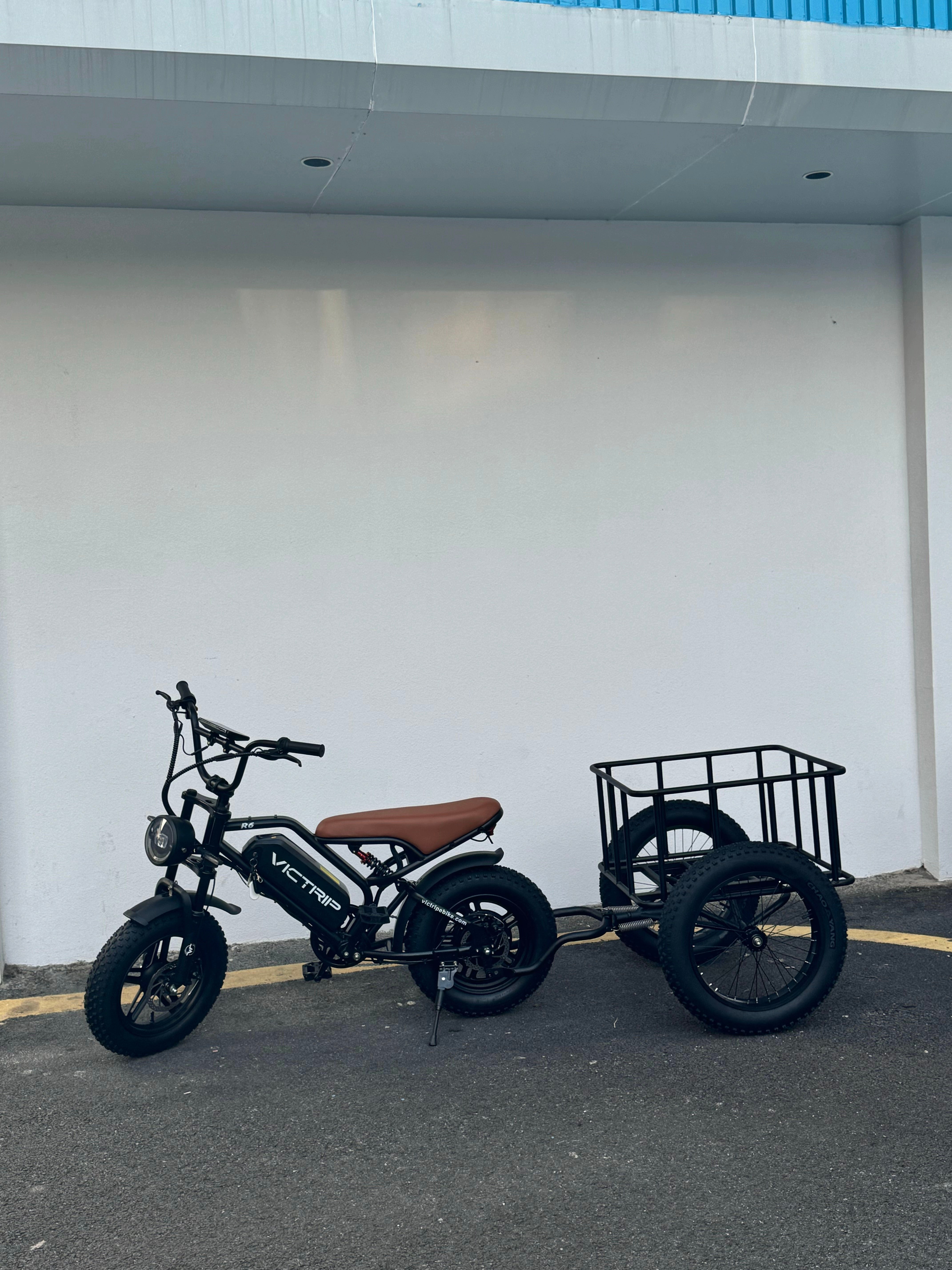 Electric Bike Trailers​ | VICTRIP