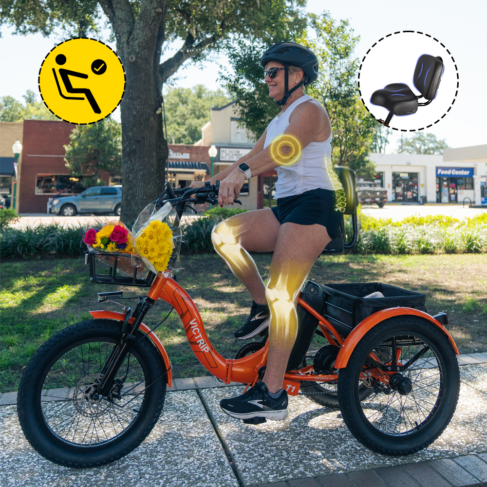 Electric Tricycles For Seniors | VICTRIP