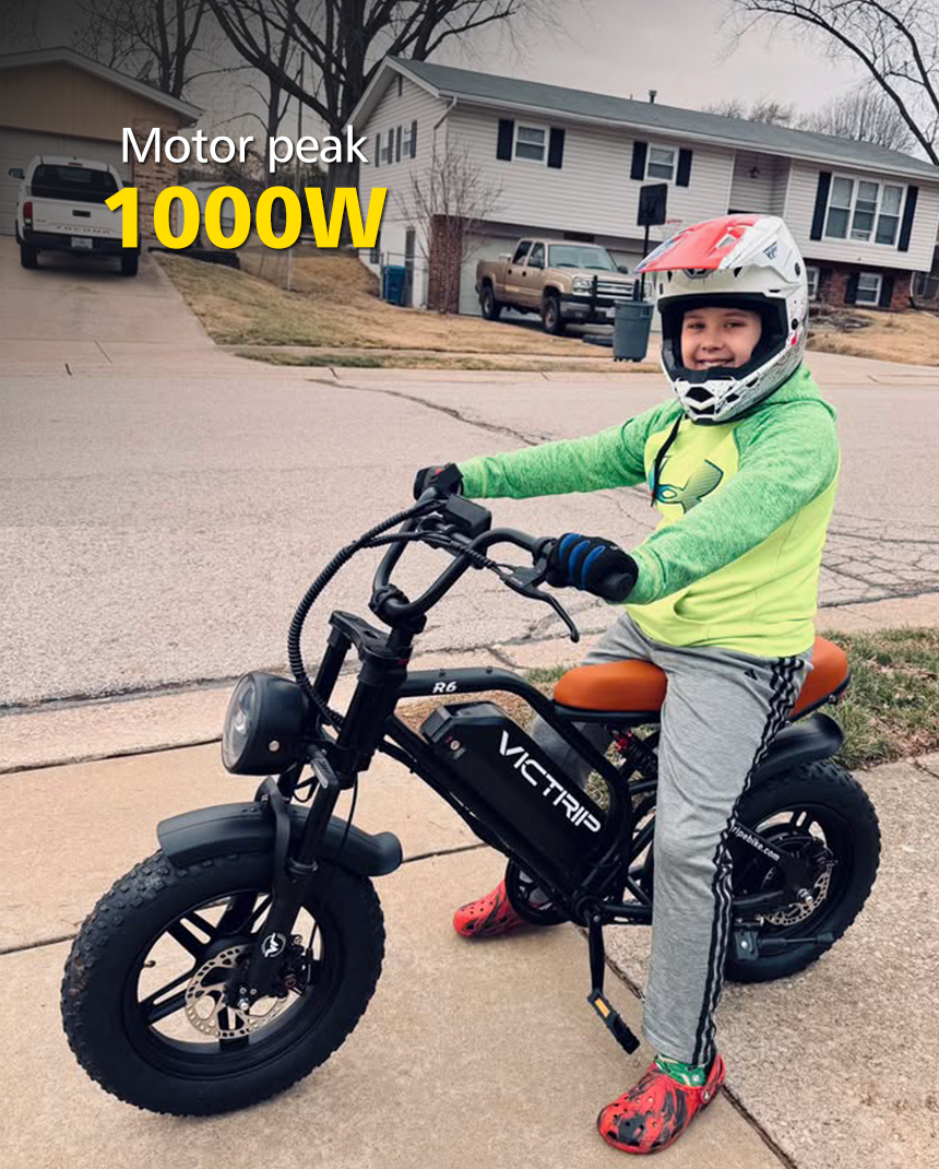 Electric Bicycle Mini | VICTRIP