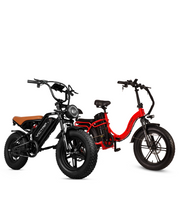 VICTRIP ® Combo Sale Titan S+R6