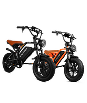 VICTRIP® Ebike Combo Sale R6pro+R6