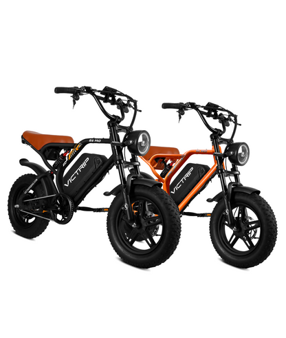 VICTRIP®Ebike Combo Sale R6Pro*2