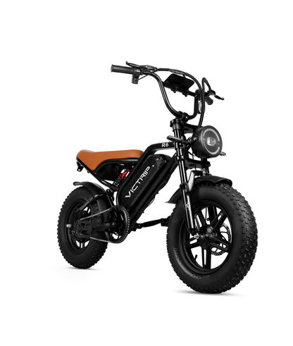 VICTRIP ®R6 Off-road Ebike