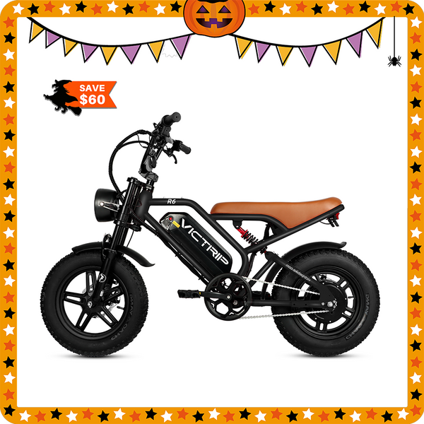 Fat Tire Electric Bike 750 Watt | VICTRIP