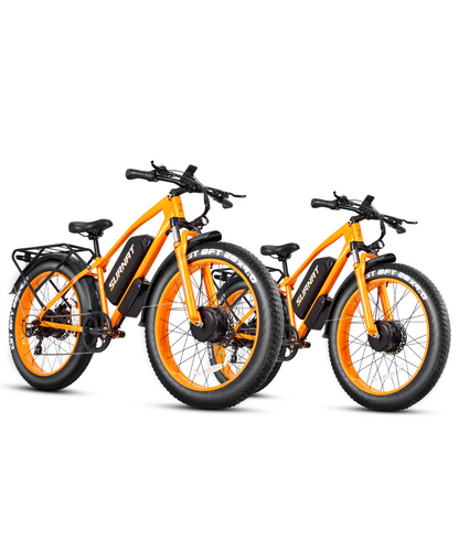 VICTRIP® Combo Sale N12 Ebike