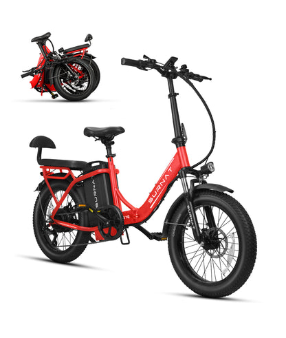 VICTRIP®SURNAT S10&S10-1 Ebike