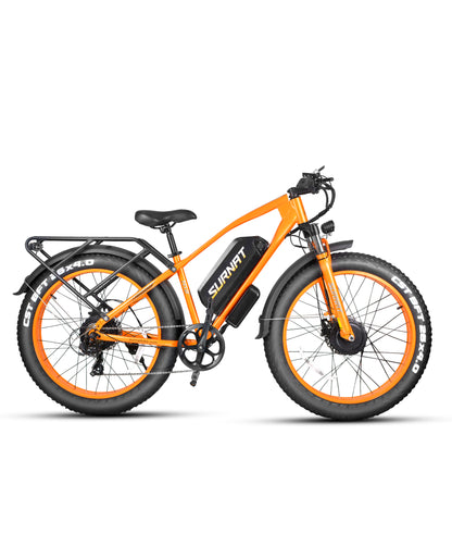 VICTRIP®SURNAT N12 Ebike