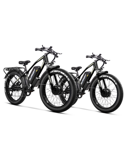 VICTRIP® Combo Sale N12 Ebike