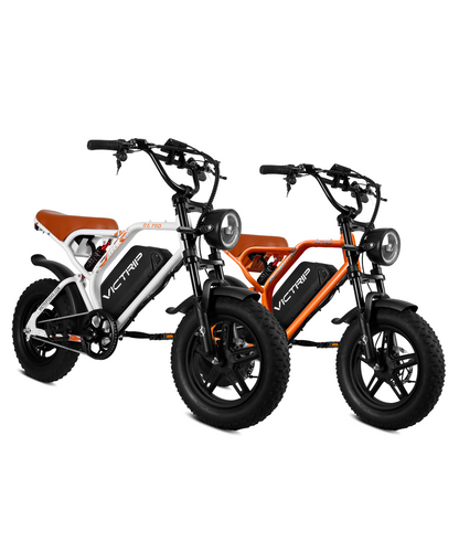 VICTRIP®Ebike Combo Sale R6Pro*2