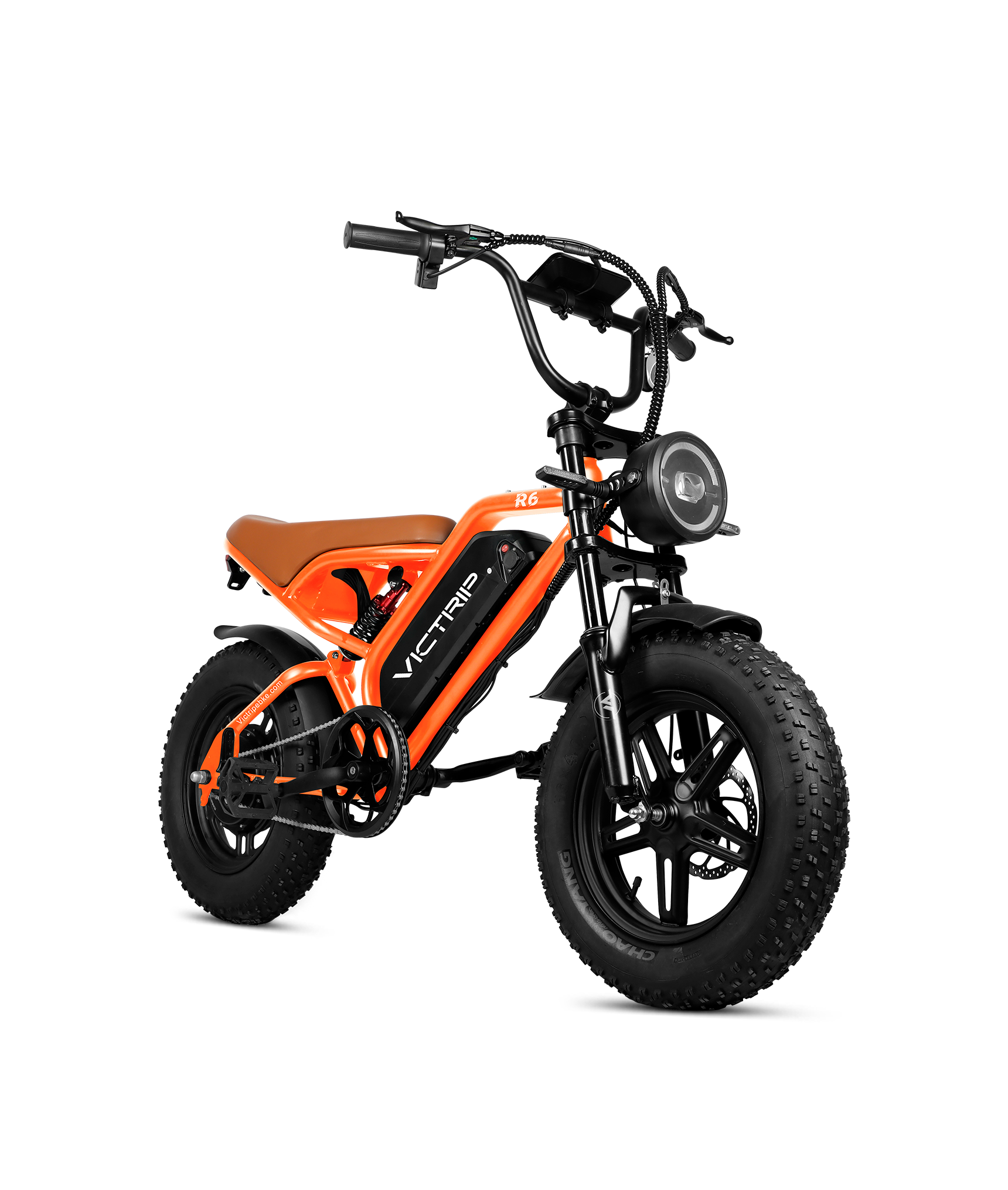 VICTRIP ®R6 Off-road Ebike