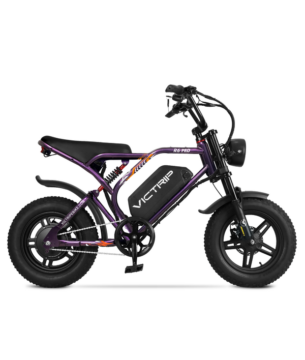 Fat Tire Electric Bike 1500 Watt | VICTRIP