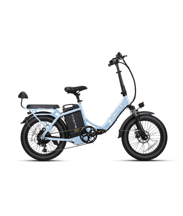 Adult Fat Tire Electric Bike | VICTRIP