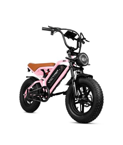 VICTRIP ®R6 Off-road Ebike