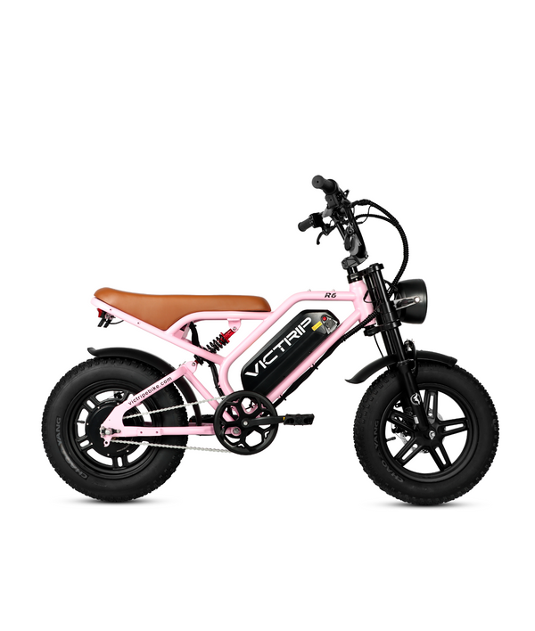 Fat Tire Electric Bike 750 Watt | VICTRIP
