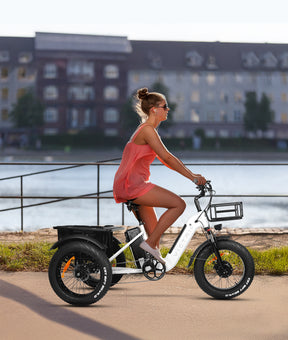 VICTRIP® Dione Electric Trike bike