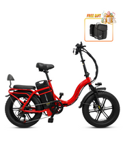 VICTRIP® TITAN S 1000W Long Range Ebike