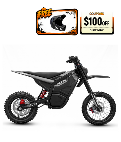 Electric motorcycles on special sale |victrip