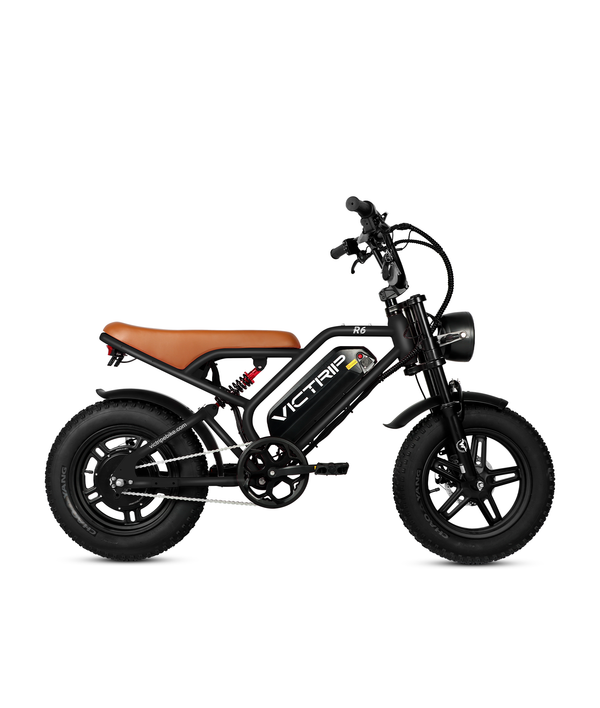 Fat Tire Electric Bike 750 Watt | VICTRIP