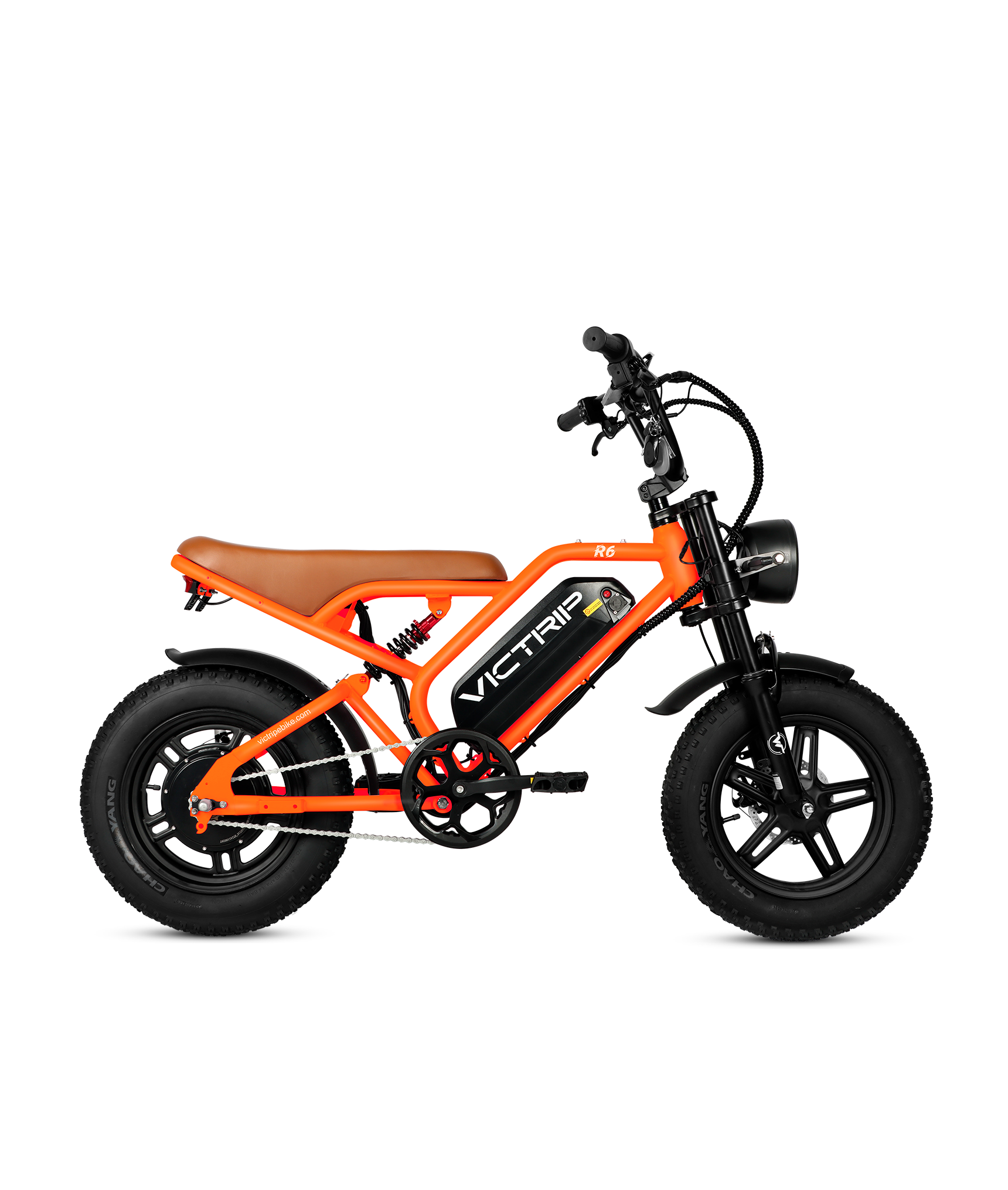 VICTRIP ®R6 Off-road Ebike